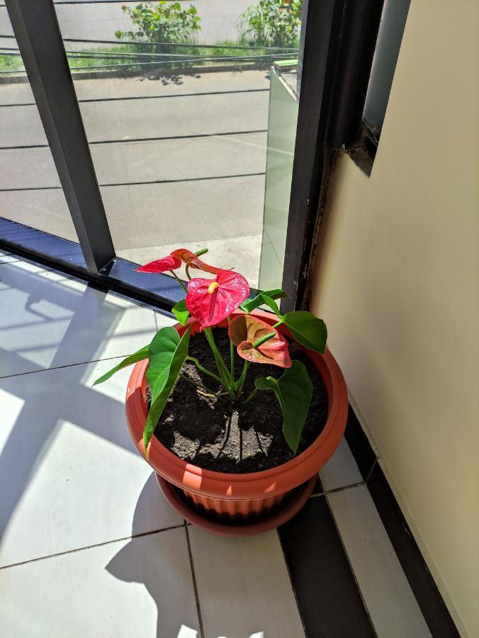Tambopata 2* Puerto Maldonado
